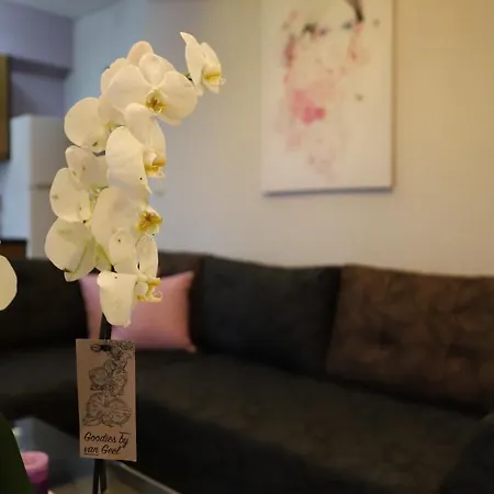 Deluxe Andreas アパート リメナリア